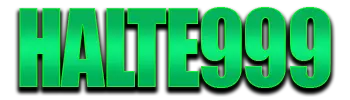 Logo HALTE999